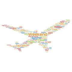 Vector conceptual travel or tourism plane word cloud