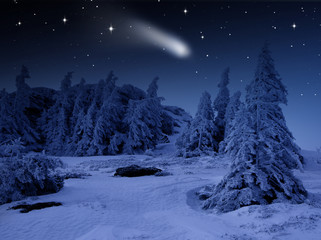 Winterwald mit Sternenhimmel