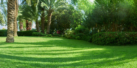 green lawn and palm trees in Turkey