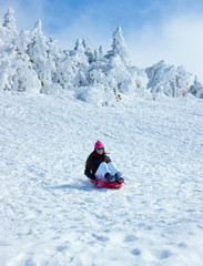 Fototapeta na wymiar the girl on a sledge