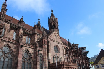 Fototapeta premium Freiburger Münster