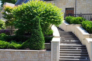 staircase with steps in the park