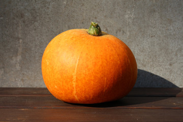 A harvesting time. A pumpkin.
