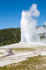 Old Faithful geyser eruption into Yellowstone National Park, USA
