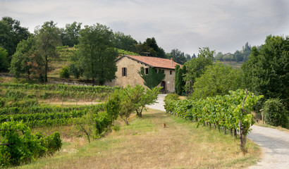 Italy country side