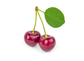 Two delicious cherries on a white