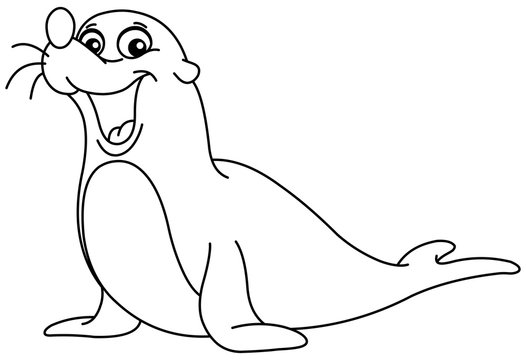 Outlined sea lion