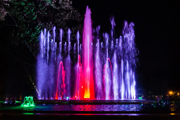 Obraz premium Colorful musical fountain in Margaret Island, Budapest, Hungary at night 