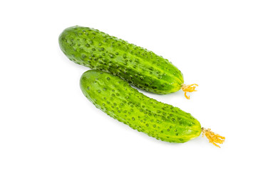 Juicy cucumbers