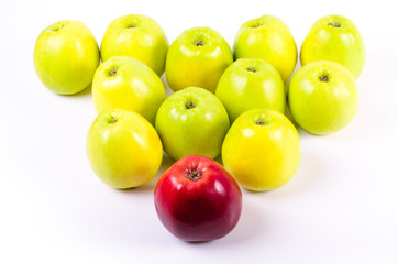 Background of green apples with one red apple. Concept