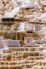 Mammoth Hot Spings in Yellowstone National Park, Wyoming, USA