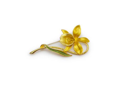 Gold Brooch On White Background