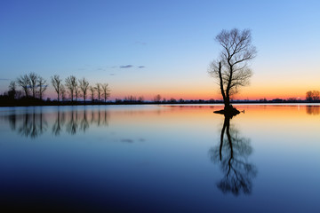 Naklejka na ściany i meble Silhouette tree at sunset in lake