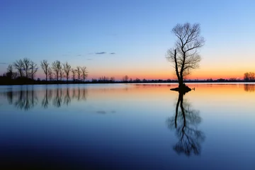 Foto auf Acrylglas Landschaften Silhouettenbaum bei Sonnenuntergang im See
