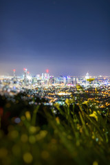 View of Brisbane City from Mount Coot-tha