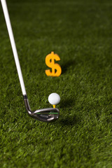 Targeting money with golf club and ball on green grass