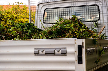 Gartenabfälle Abtransport