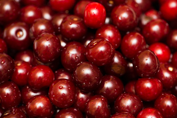 Background of many cherry berries