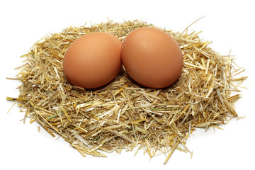 Chicken eggs in a nest closeup