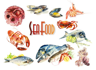 Fish and seafood. Menu. Different compositions. Watercolor hand drawn illustration