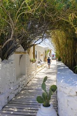 Psarou beach, Mykonos, Greece. The boardwalk whitewashed alley leading to Psarou beach in Mykonos, Greece. A greek island cosmopolitan sea paradise. © f8grapher