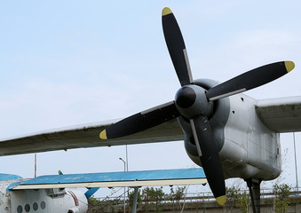Engine airplane with a propeller on the wing