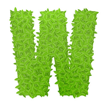 Uppecase letter W consisting of green leaves