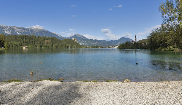 Bled lake pubble beach