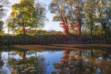 Fototapeta premium Der Fluss Schussen