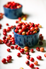 cranberries