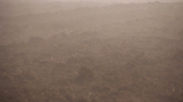 Fog passing by on an agricultural soil