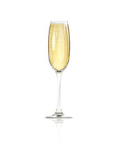 Champagne glass / 3D render of elegantly lit glass of champagne