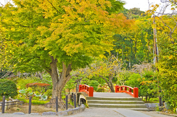 Japanese Garden in the Autumn Season.