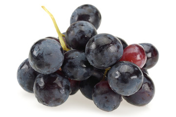 Black Grape