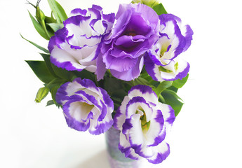 bouquet of purple flowers