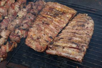 meat skewers on the barbecue coals