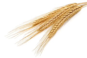 Wheat bundle