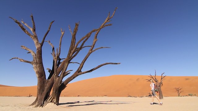 Girl walking in the desert and looking at a dead tree.