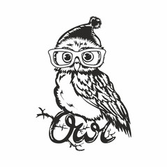 Clever owl with glasses