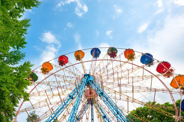 Ferris wheel in the green park