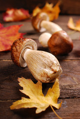 fresh porcini mushrooms lying on wooden table