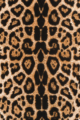 texture of print fabric striped leopard - 93381631