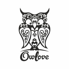 Owl love