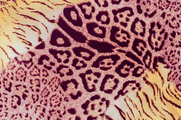 texture of print fabric striped leopard