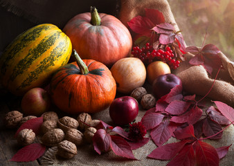 Autumn food design decoration composition with rustic harvest