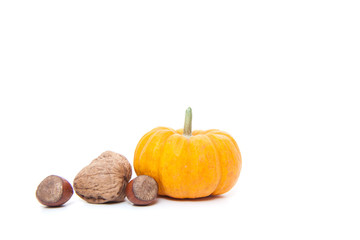 Pumpkin and various nuts on white background