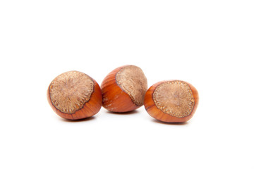 Three fine grown hazelnuts. All on white background