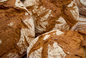 Loafs of fresh bread