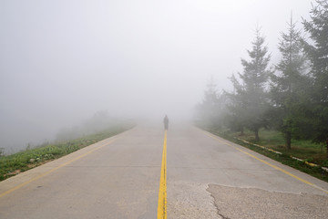 Silhouette of woman in misty fog