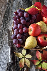 Autumn fruit-piece with fruits